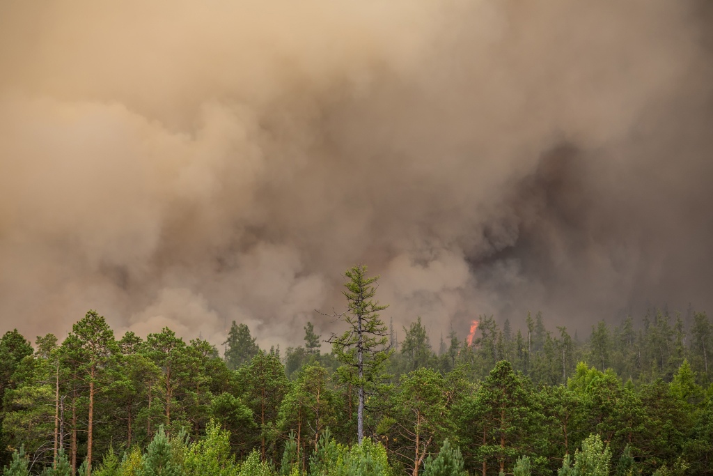 Пожары в Свердловской области локализованы