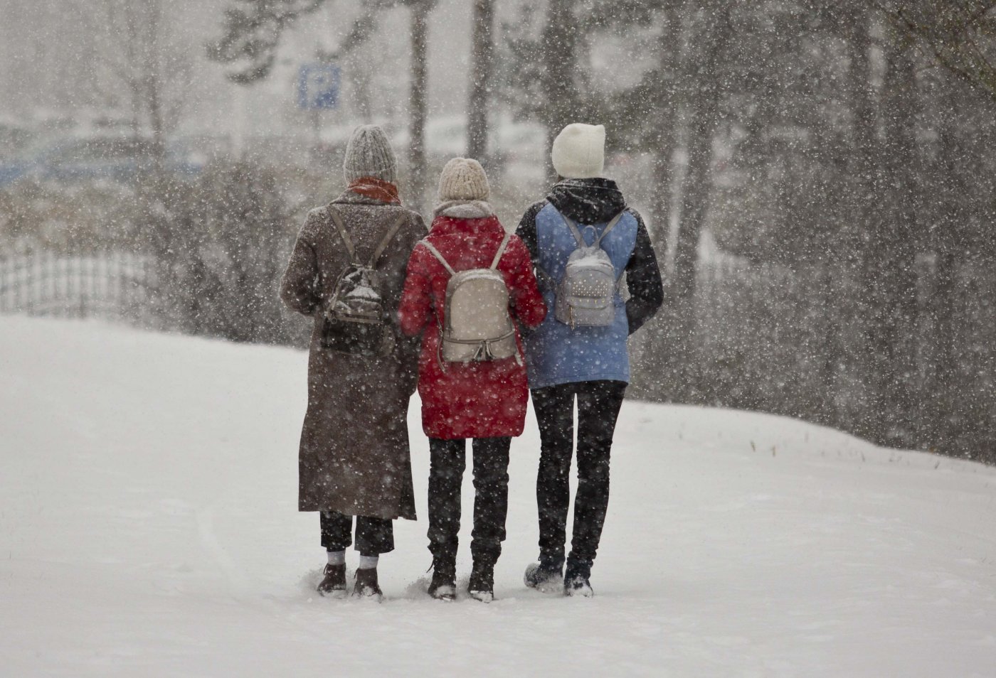Как одеваться в холодную погоду: 11 шагов | Новости Гомеля